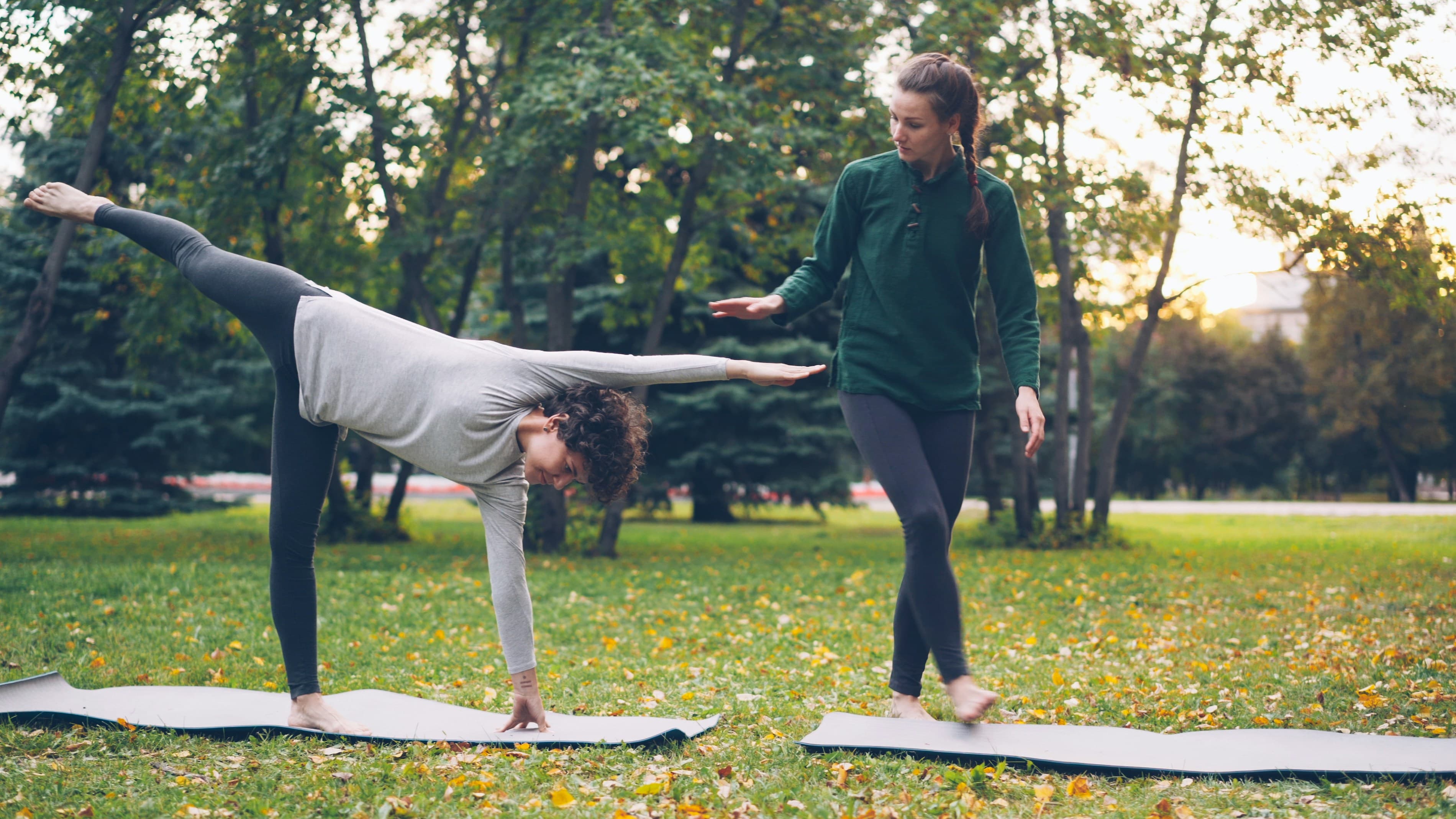 Yoga for Beginners at Home: Weight Loss, Flexibility and Daily Wellness Guide